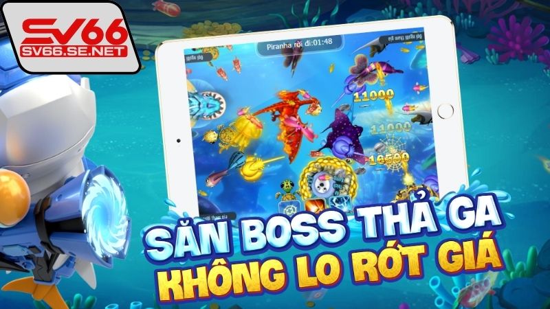 cach-ban-ca-boss-de-trung